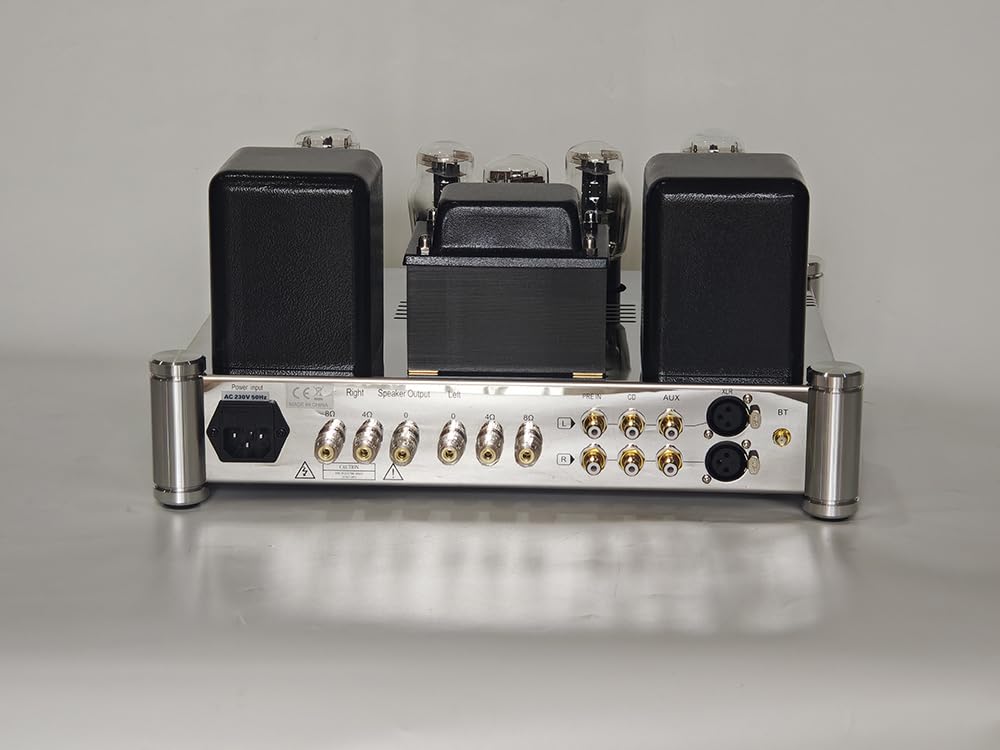 Amazon.co.jp: BoyuuRange REISONG A50 MKIII 300B HiFi 統合チューブ